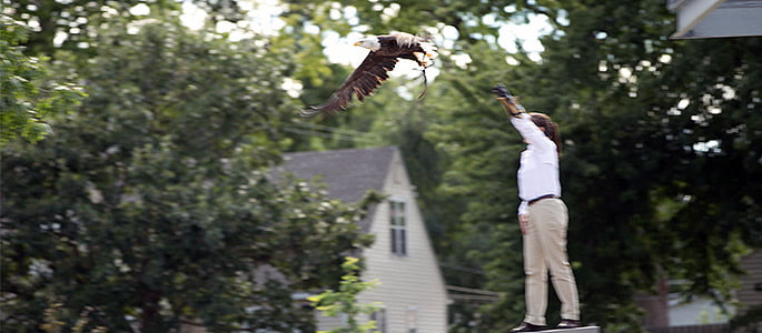 'Every life is a work of art': Jackson Dinsdale 艺术 Center opens at Hastings College 1 Photo of the eagle Challenger taking off.