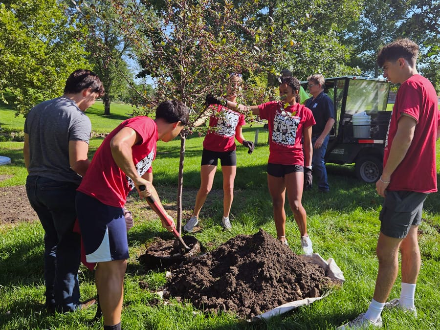 Homepage highlight 25w3