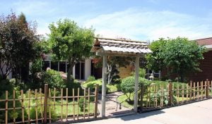 植物园 1 Japanese Garden 17w