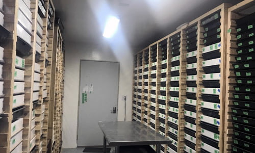 Alumna推出替代蛋白质业务 3 Powers Jord mealworm 19