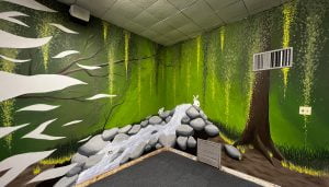 萨凡纳埃利斯 22 w4