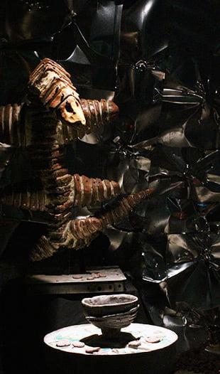 Bliven created more than 300 ceramic coins (shown here on a table in front of sea slugs) and hid them throughout the exhibit to prompt visitors into exploring. Although some went home with visitors, others are hidden around campus thanks to Turner McGee, chair of the 艺术 Department. alyssakarrbliven seaslug